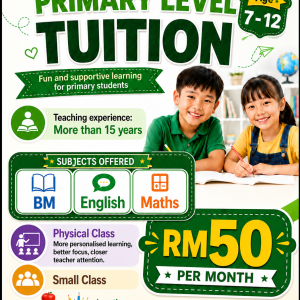 Primary Level Tuition - 1 to 1
